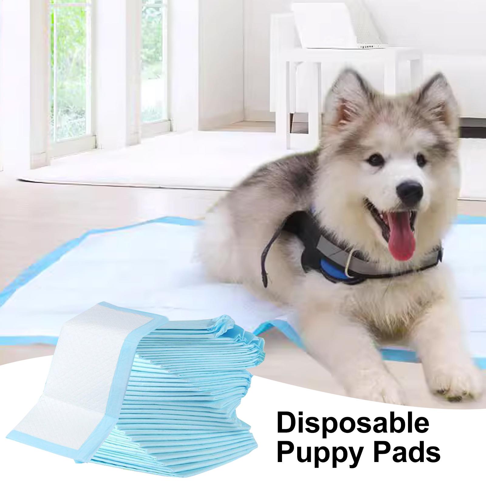 Diaper Changing Pad 100pcs Dia - Diaper Changing Mat review and price